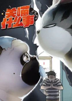 Мой кот ненавидит меня