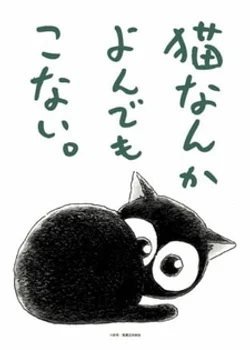 Я не могу поймать кота