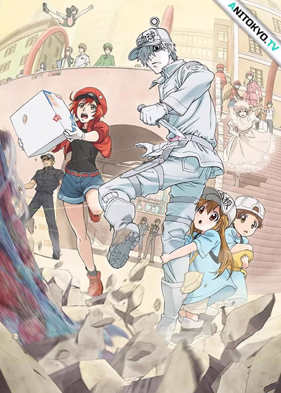 Cells at Work!: The Common Cold