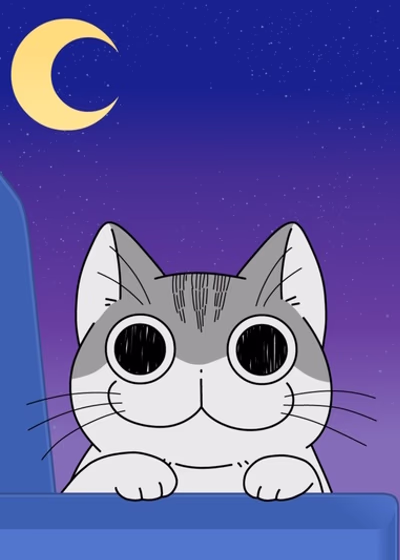 Вечера с кошкой 2