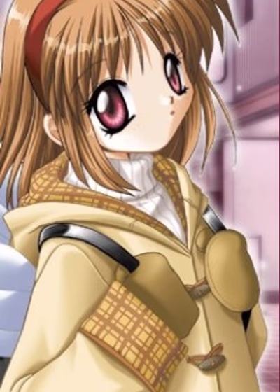 Канон: Цветы ветра