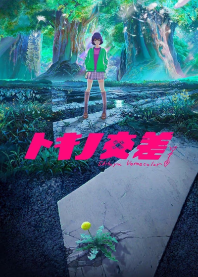 Пересечение Токино