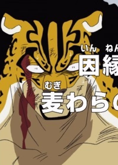 Ван-Пис: Дневник вражды! Соломенные шляпы против Сайфер Пола