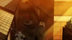 Frame #245555