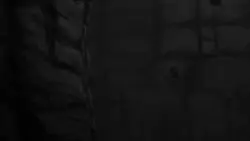 Frame #279984
