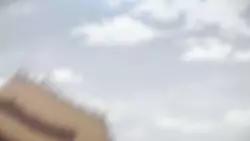 Frame #63585