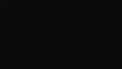 Frame #260981