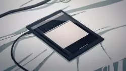 Frame #262056