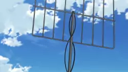 Frame #241475