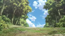 Frame #241529