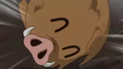 Frame #241537