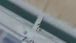 Frame #233440