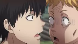 Frame #233342