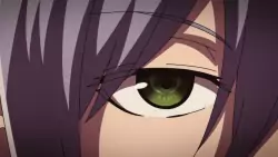 Frame #233611
