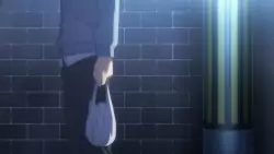 Frame #270422