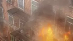 Frame #221999