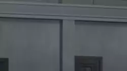 Frame #220437