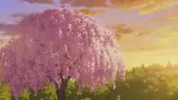 Frame #275193