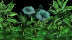 Frame #7110