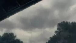Frame #216069