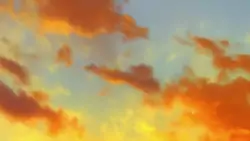 Frame #216517