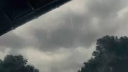 Frame #216603