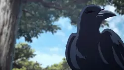 Frame #45868