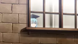 Frame #294237