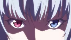 Frame #294455