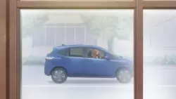 Frame #163119