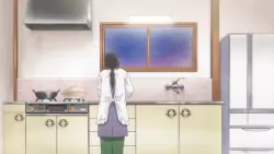 Frame #162292