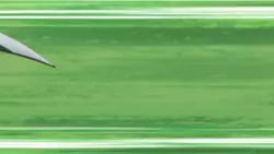 Frame #89809