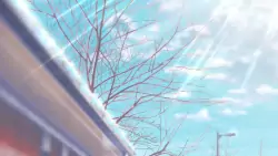 Frame #158419