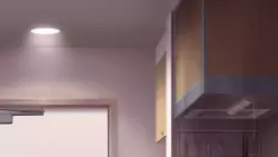 Frame #159077