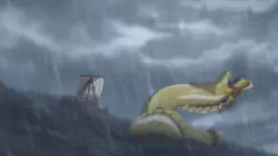 Frame #156144
