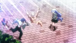 Frame #232648