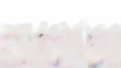 Frame #24445