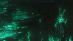 Frame #85140