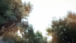 Frame #125758