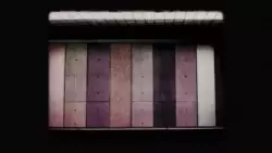 Frame #230388