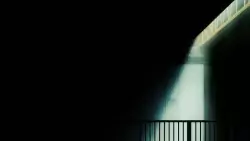 Frame #230663