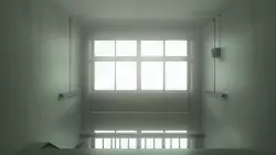 Frame #230652