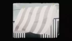 Frame #231101