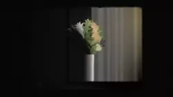 Frame #231016