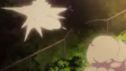 Frame #298549