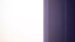 Frame #299314