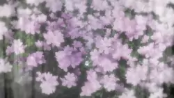 Frame #299408