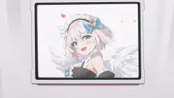 Frame #2410