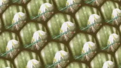 Frame #62360