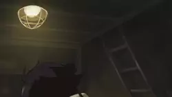 Frame #282464